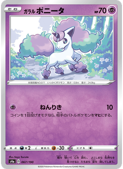 ガラル ポニータ