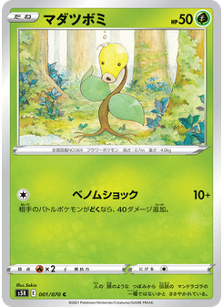 マダツボミ
