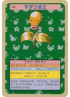 マダツボミ