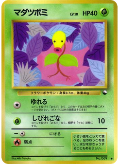 マダツボミ
