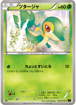 ツタージャ