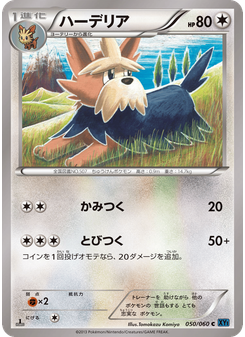 ハーデリア