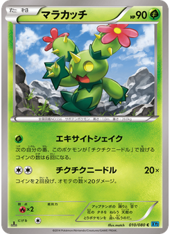 マラカッチ