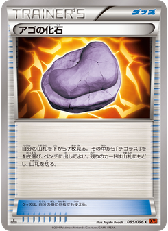 アゴの化石