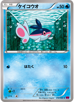 ケイコウオ