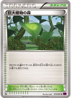 巨大植物の森