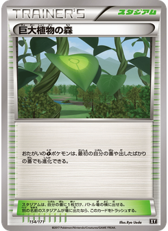 巨大植物の森