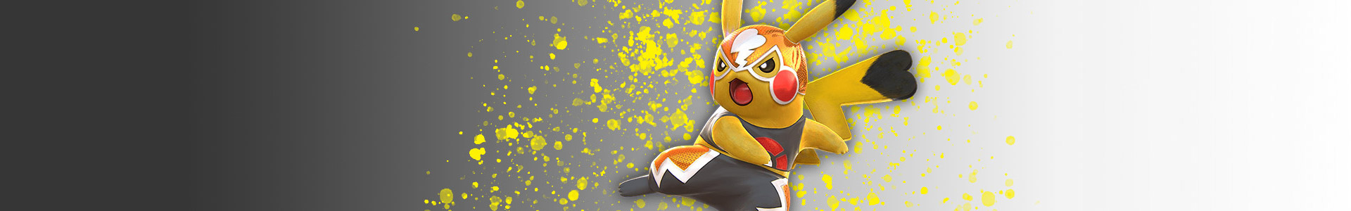 XY trainer Kit (Suicune)