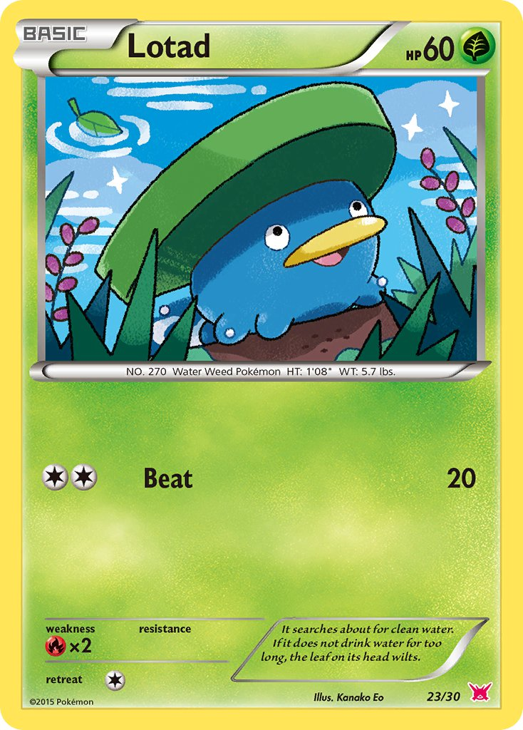 Lotad — Common card from XY trainer Kit (Latias)