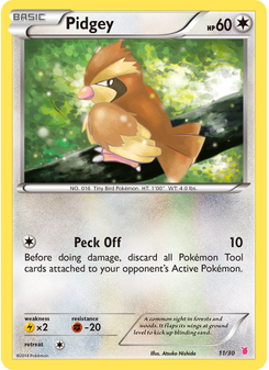 Pidgey