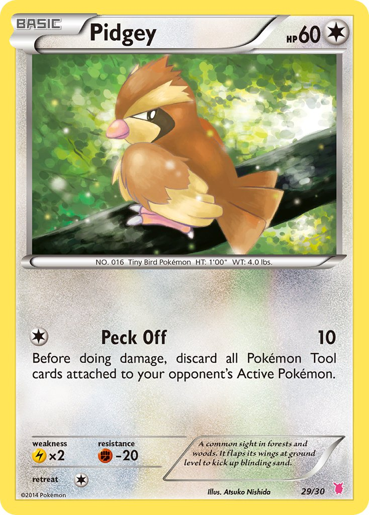 Pidgey from XY trainer Kit (Wigglytuff)