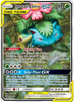 Venusaur & Snivy GX