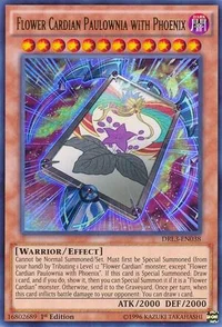 Flower Cardian Paulownia with Phoenix