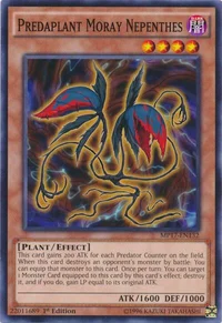 Predaplant Moray Nepenthes