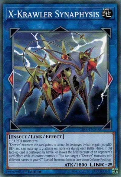 X-Krawler Synaphysis