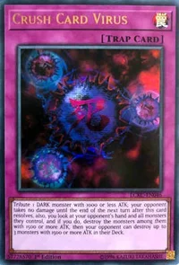 Kartenvernichtungsvirus