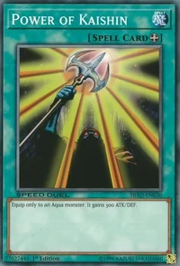 Power of Kaishin