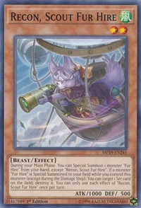 Recon, Scout Fur Hire