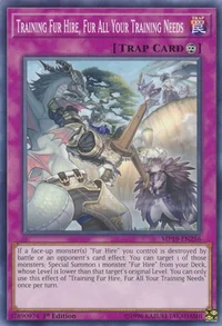 Training Fur Hire, Fur All Your Training Needs