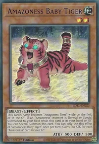 Bebê Tigre Amazoness