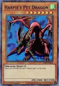 Dragão de Estimação da Harpia