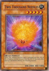 Two Thousand Needles