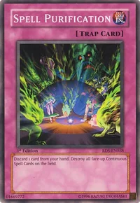 Spell Purification