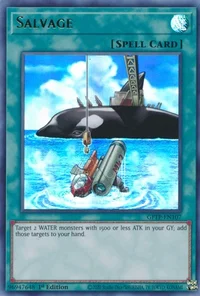 Salvage