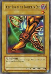 Right Leg of the Forbidden One