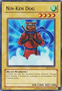 Nin-Ken Dog
