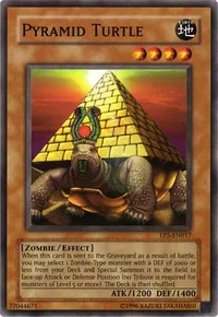 Pyramid Turtle