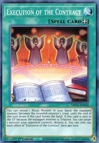 Execution of the Contract