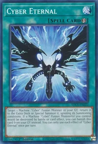 Cyber Eternal