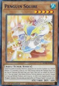 Penguin Squire