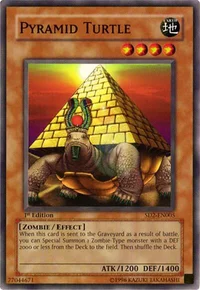 Pyramid Turtle