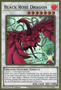Dragon Rose Noire