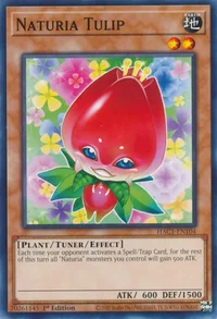 Naturia Tulip