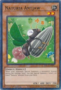 Naturia Antjaw (Duel Terminal)