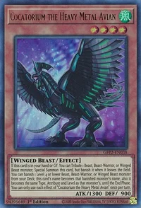 Cocatorium the Heavy Metal Avian