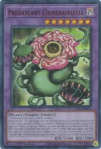 Raubpflanze Chimerafflesia