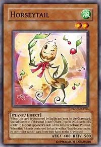 Horseytail