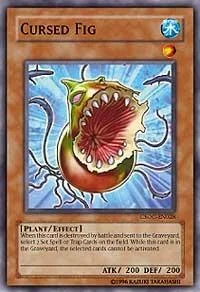 Cursed Fig