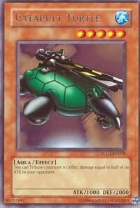 Catapult Turtle