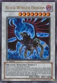 Black-Winged Dragon