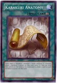 Karakuri Anatomy
