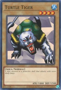 Turtle-Tiger
