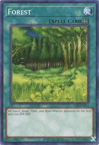 Wald