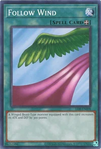 Folge dem Wind