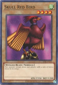 Roter Totenkopfvogel
