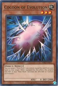 Cocon d'Évolution